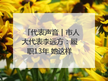 代表声音｜市人大代表李远方：履职13年 她这样“找”建议
